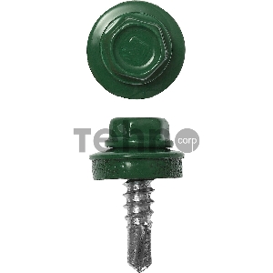 Саморезы СКМ кровельные, RAL 6002 зеленый лист, 25 х 5.5 мм, 1 800 шт, для металлических конструкций, ЗУБР Профессионал