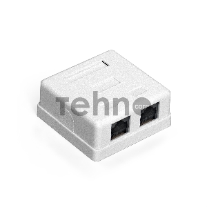 Розетка внешняя двойная ExeGate SM2-RJ45-C6 RJ-45 кат.6 UTP Krone/110