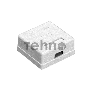 Розетка внешняя двойная ExeGate SM2-RJ45-C6 RJ-45 кат.6 UTP Krone/110