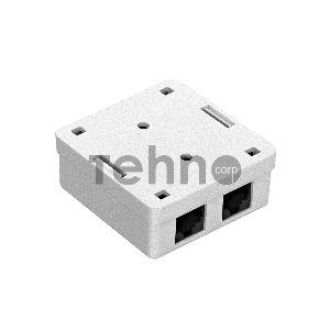 Розетка внешняя двойная ExeGate SM2-RJ45-C6 RJ-45 кат.6 UTP Krone/110