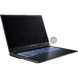 Ноутбук Dream Machines RG3060-17EU37