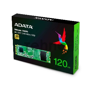 Накопитель SSD ADATA M.2 SATA III 120Gb ASU650NS38-120GT-C SU650 2280 (ASU650NS38-120GT-C)