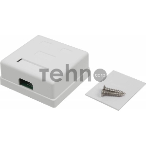Розетка TWT (TWT-SM2-4545-WH) настенная 2 порта RJ-45 категории 5е. UTP. белая