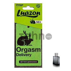 Ароматизатор в авто «Orgasm» аромат мужской парфюм