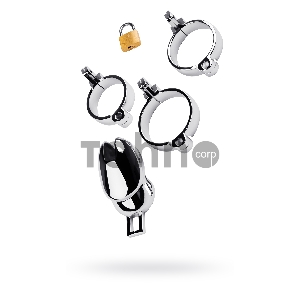 Пояс верности мужской TOYFA Metal, серебряный Пояс верности мужской TOYFA Metal, серебряный